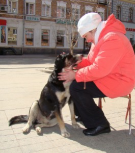 dog petting pixabay_takazart